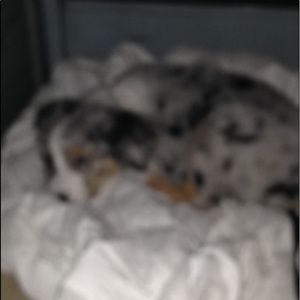 Meet your Posher, Jaeden